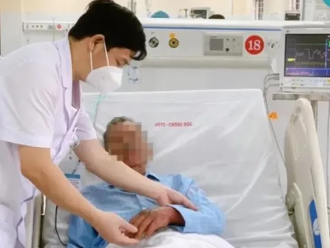 Tay không bắt rắn hổ mang, người đàn ông suýt mất mạng