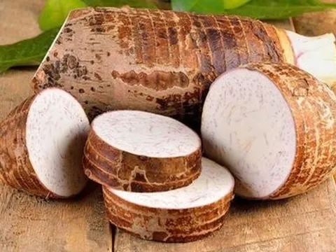 Loại củ xấu xí, dễ mua hóa ra lại là “thần dược” có công dụng vạn năng