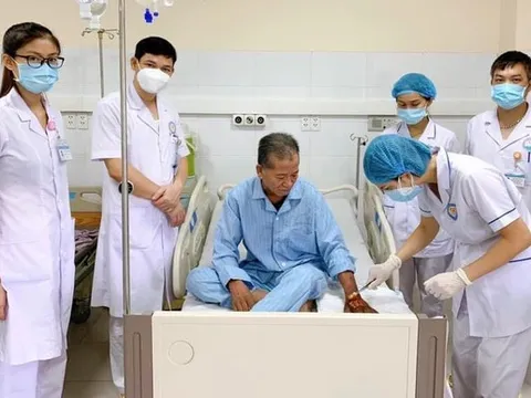 'Vua bắt rắn' nguy kịch vì suy đa tạng, nhiễm độc do rắn hổ cực độc cắn