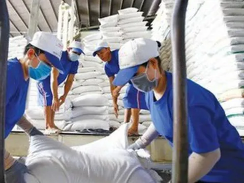 Gạo Thái Lan 'soán ngôi' bán giá cao nhất thế giới của Việt Nam