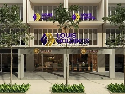 Loạt doanh nghiệp “họ Louis” kinh doanh lỗ sau thời ông Đỗ Thành Nhân