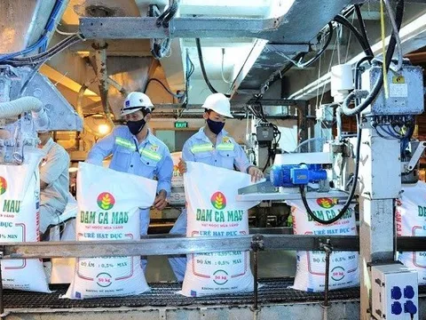 Giá phân bón hạ nhiệt, doanh nghiệp ngành phân bón “bay màu” lợi nhuận