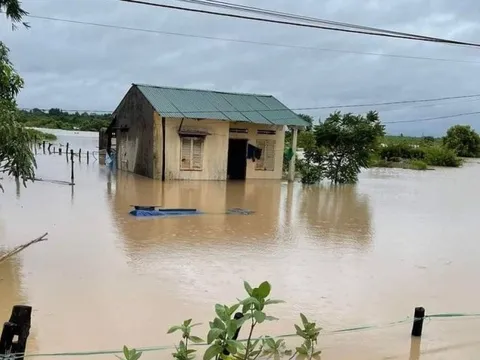 Đắk Lắk: Mưa lớn khiến 50 căn nhà ngập, thiệt hại 1.000 ha cây trồng