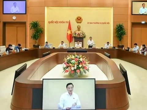 Cho ý kiến về xử phạt hành vi cản trở hoạt động tố tụng