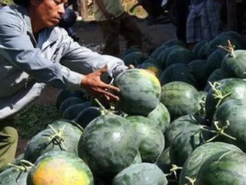 Sắp ký nghị định thư xuất khẩu chính ngạch nhiều loại trái cây sang Trung Quốc