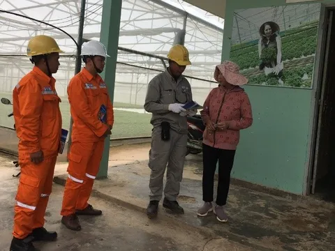 Nỗ lực giảm tổn thất điện năng xuống dưới 6%