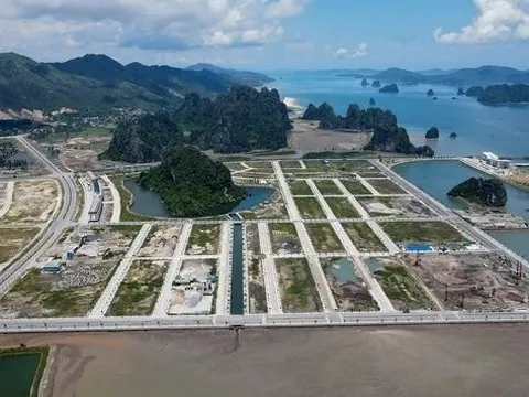 Xử phạt người bình luận sai trên Facebook về "hòn non bộ" ở Quảng Ninh