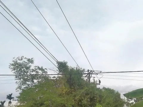 Nam sinh lớp 7 thiệt mạng vì bị điện giật trong lúc hái chôm chôm