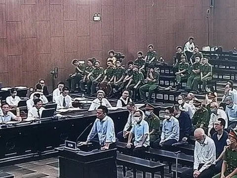 Con rể cựu Chủ tịch Tổng Công ty 3/2 giúp sức đắc lực cho bố vợ