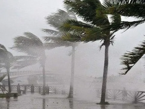 Biển Đông có thể đón thêm 8-10 cơn bão trong mùa mưa bão năm nay