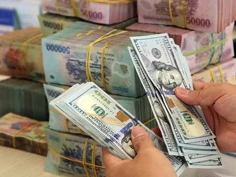 Chênh lệch tỷ giá bào mòn lợi nhuận nhiều doanh nghiệp trong quý II như thế nào?