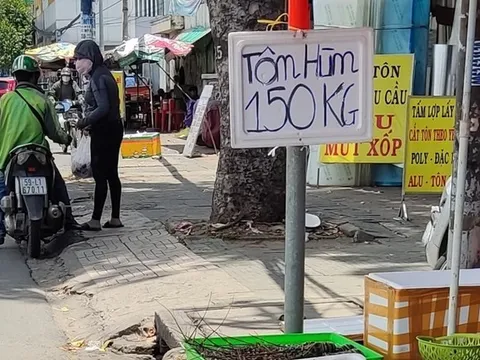 Thận trọng khi mua tôm hùm siêu rẻ