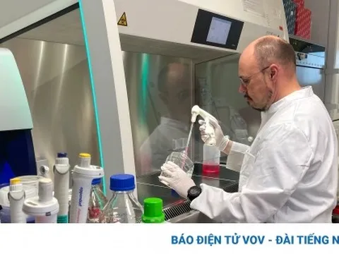 CDC Mỹ: Virus đậu mùa khỉ có thể bám trên các vật dụng thông thường trong nhà