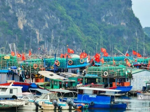 Tích hợp các chính sách hỗ trợ ngư dân khắc phục rủi ro do thiên tai