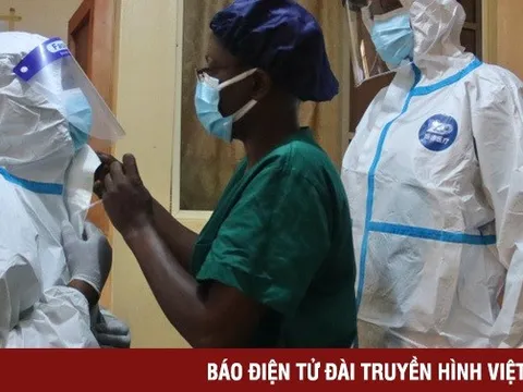 Sốt Lassa - căn bệnh gây chết người ở Nigeria còn đáng sợ hơn COVID-19