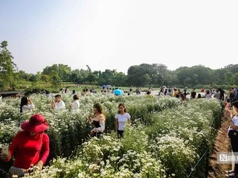 Nhiều công trình vi phạm ở Hà Nội được đề xuất phát triển du lịch