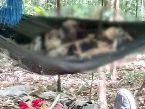 Điều tra vụ 2 thi thể chỉ còn là xương khô nằm trên võng trong rừng