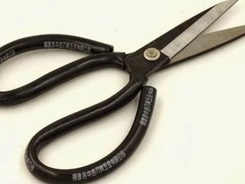 Thanh Hóa: Điều tra vụ chồng dùng kéo đâm vợ tử vong rồi tự sát