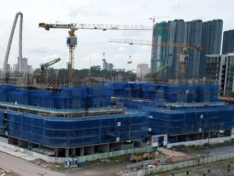 Tập đoàn Hòa Bình thấy mình như 'cá voi trong ao nhỏ'