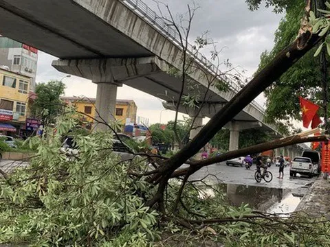 CLIP: Mưa lớn kèm gió to, như kéo bay cả người được