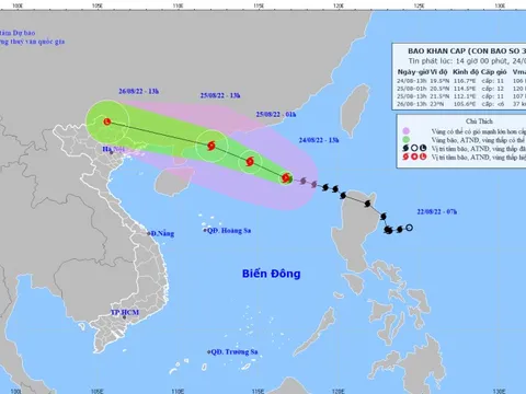 Chủ động ứng phó với bão số 3