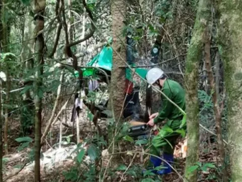Báo cáo ban đầu về vụ 2 thi thể chỉ còn là xương khô trong rừng