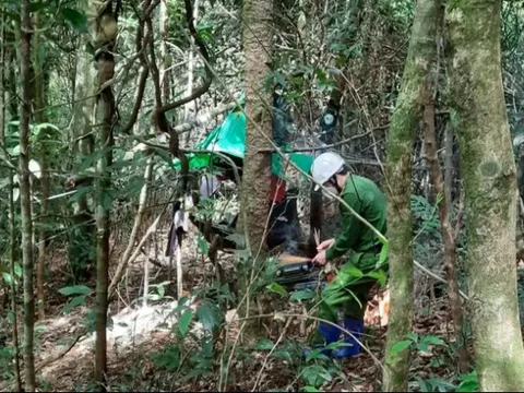 Bước đầu xác định được danh tính 2 thi thể chỉ còn là xương khô