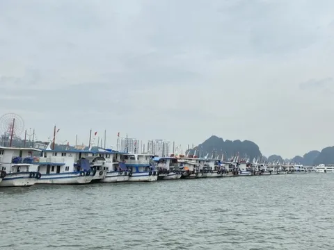 Bão số 3 gây mưa lớn tới 250mm; cảnh báo nguy cơ lũ quét, sạt lở đất