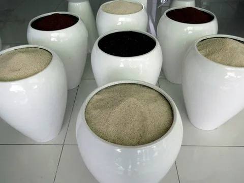 Bangladesh mua hàng trăm ngàn tấn gạo của Việt Nam