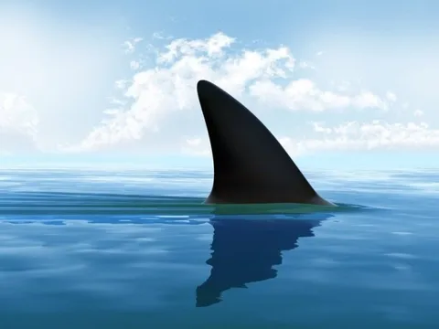 2 ứng dụng đánh cắp thông tin ngân hàng bạn nên xóa ngay lập tức