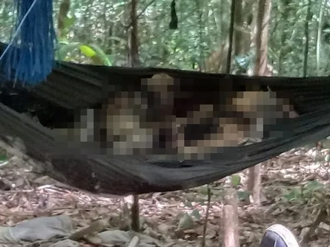 2 thi thể chỉ còn bộ xương khô trong rừng: Nhiều khả năng là cha con