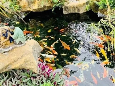 Vườn Nhật, cá koi - thú chơi tiền tỷ của nhà giàu Việt