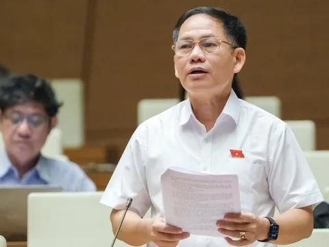 ĐBQH đề nghị phân cấp nhiều hơn cho cơ quan thanh tra cấp huyện