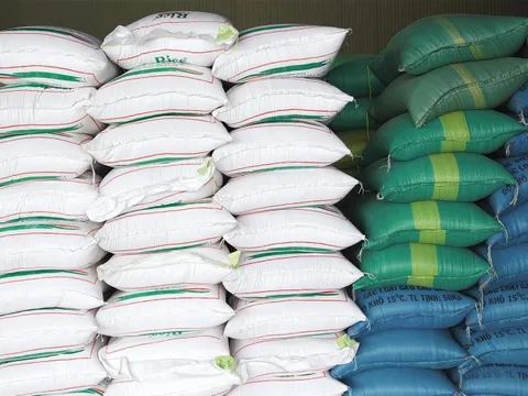 Hỗ trợ gạo cho 2 tỉnh Bình Định, Phú Yên