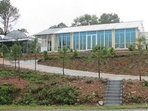 Lý do một giám đốc doanh nghiệp nhà nước ở Huế xin không tái nhiệm