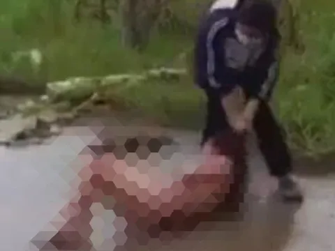 Khởi tố nữ sinh lớp 11 lột đồ, đánh bạn giữa đường