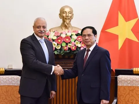 Coi trọng quan hệ hợp tác hữu nghị, truyền thống với Ai Cập