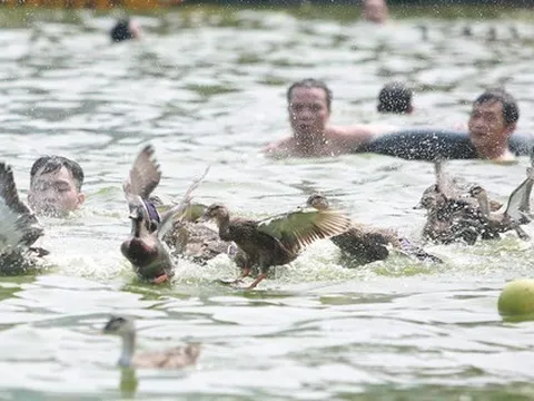 Hàng chục người rẽ nước bắt vịt tại lễ hội làng Triều Khúc