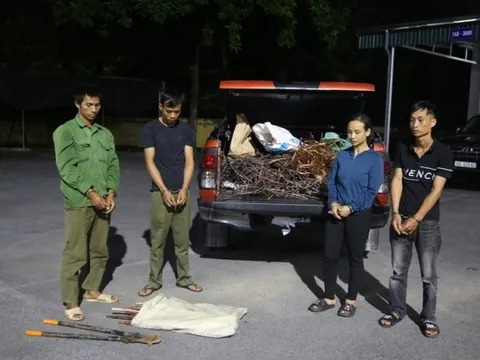 Bắt giữ nhóm trộm cắp cáp điện trên cao tốc Vân Đồn – Móng Cái