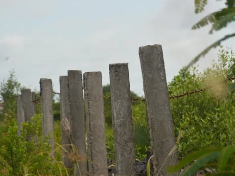 'Ngân hàng đất' đầu tư hơn 26 tỷ đồng rồi… bỏ hoang