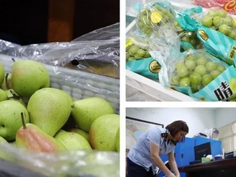 Hà Nội xử lý hàng loạt cửa hàng bán hoa quả nhập khẩu