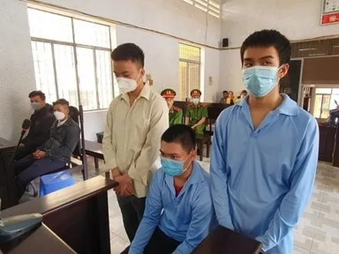 2 anh em sinh đôi lãnh án vì mang hung khí đi “giải cứu” em trai