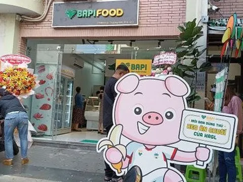 Heo ăn chuối có phải là phát hiện mới của Hoàng Anh Gia Lai và bầu Đức?