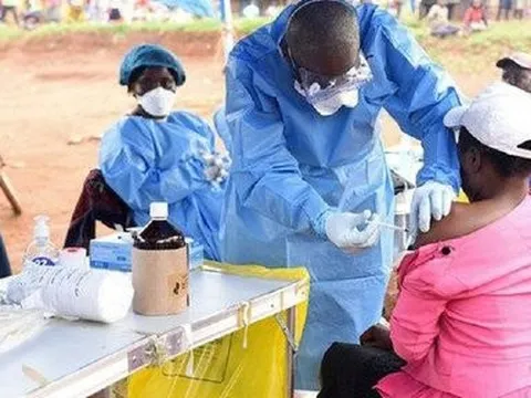 WHO công bố dịch bệnh do virus Ebola gây ra bùng phát tại Uganda