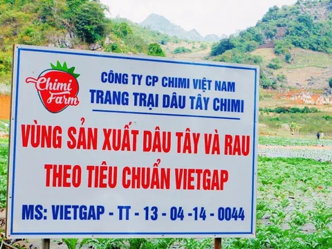 Chứng nhận VietGAP "xịn" có dễ đạt hay không?