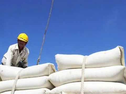 Thủ tướng yêu cầu nghiên cứu việc Ấn Độ cấm xuất khẩu gạo