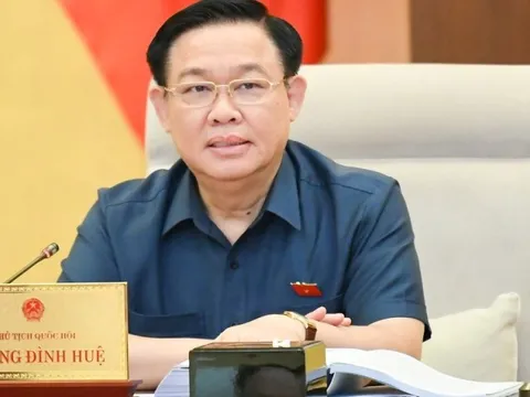 Sửa Luật Đất đai tuyệt đối tránh hợp thức hóa các vi phạm