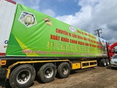 Lâm Đồng: Lần đầu xuất khẩu chính ngạch 70 tấn sầu riêng sang Trung Quốc