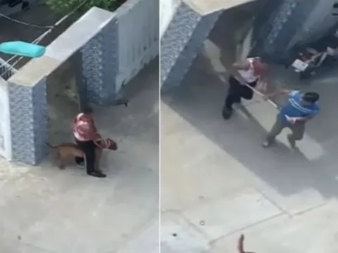 Đà Nẵng: Bắt giam người thả chó cắn hàng xóm