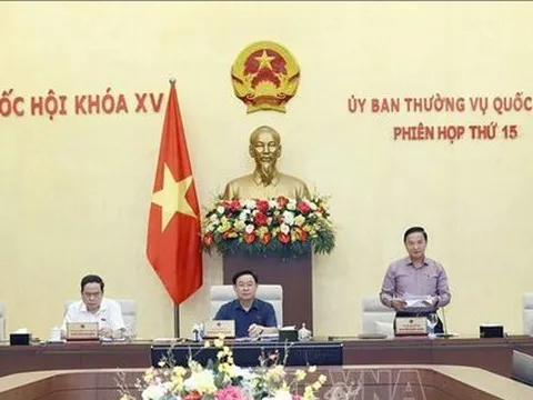 Xử lý hình sự 10 người đứng đầu vì để xảy ra tham nhũng